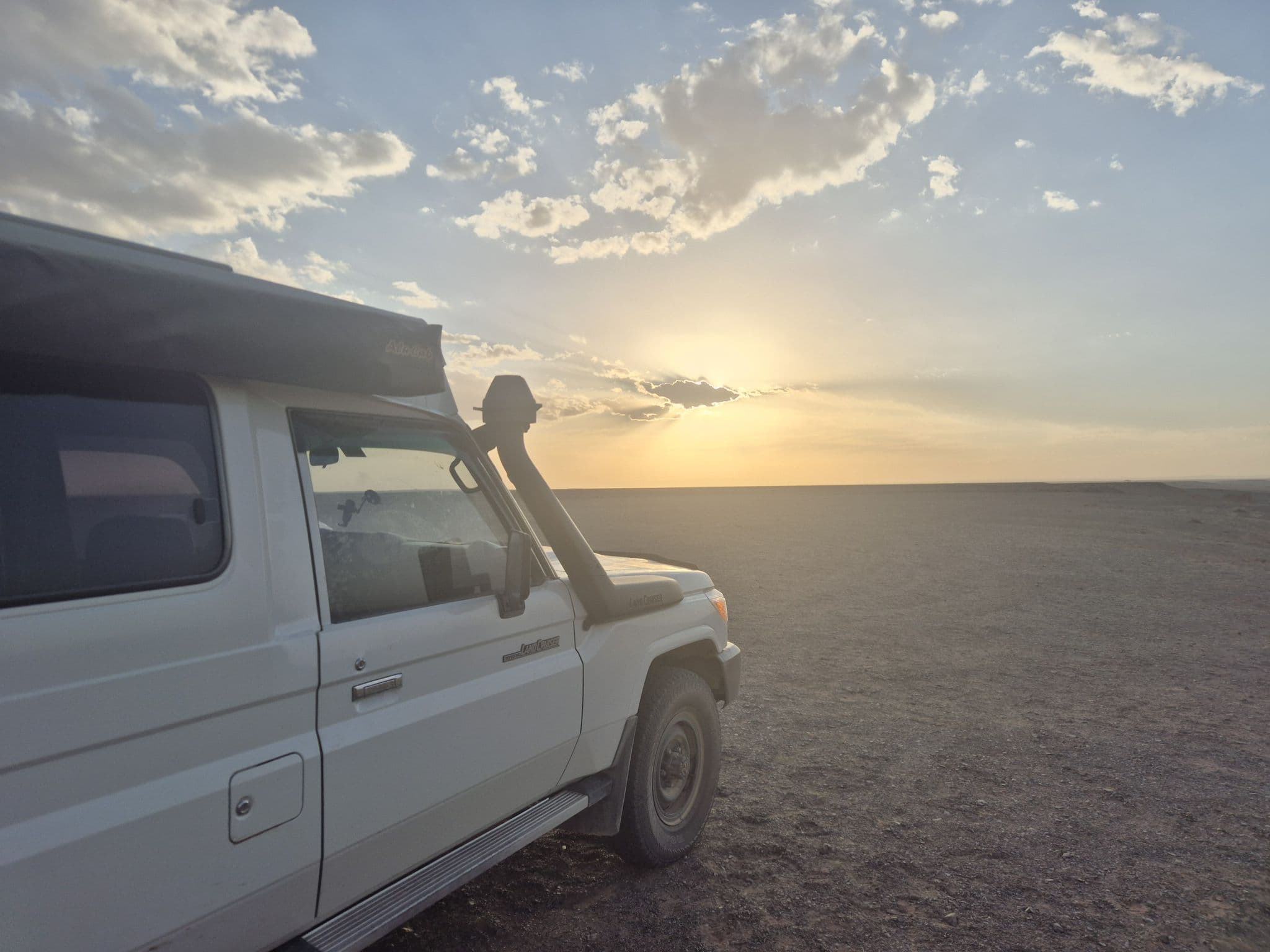 The Lion at sunset